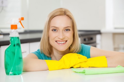 Local cleaner working in a Westminster apartment with access considerations