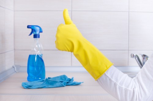 Domestic cleaning tasks in a Westminster kitchen and bathroom