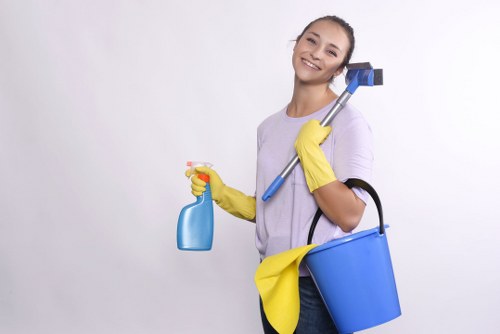 Professional cleaning of heavy curtains in a Westminster property