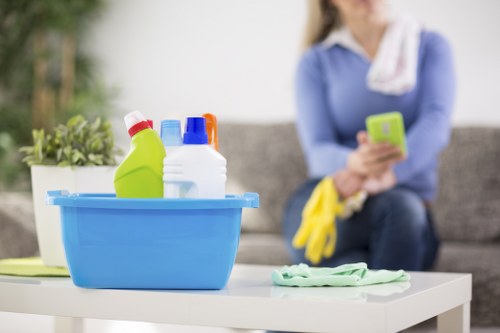 Freshening a Westminster property after pet stain and odour treatment