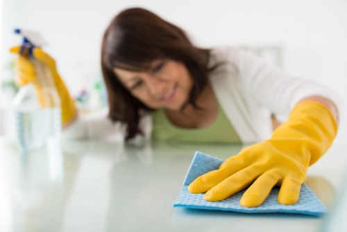 Deep cleaning support for a Westminster apartment