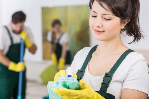 Detailed cleaning for a Westminster apartment interior