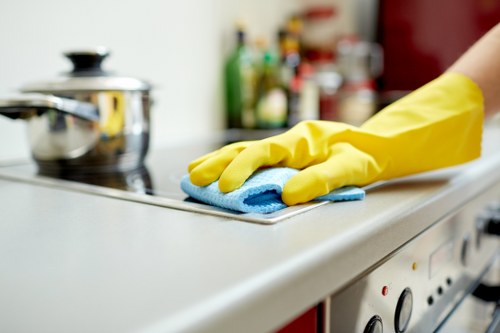 One-off domestic cleaning in a central London flat