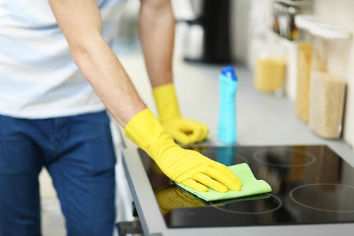 Regular cleaning for a Westminster flat with central London surroundings