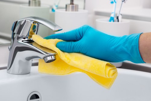 Cleaning appointment scope and access requirements for a Westminster cleaning service
