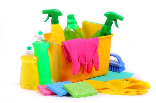 Local cleaner working in a Westminster townhouse